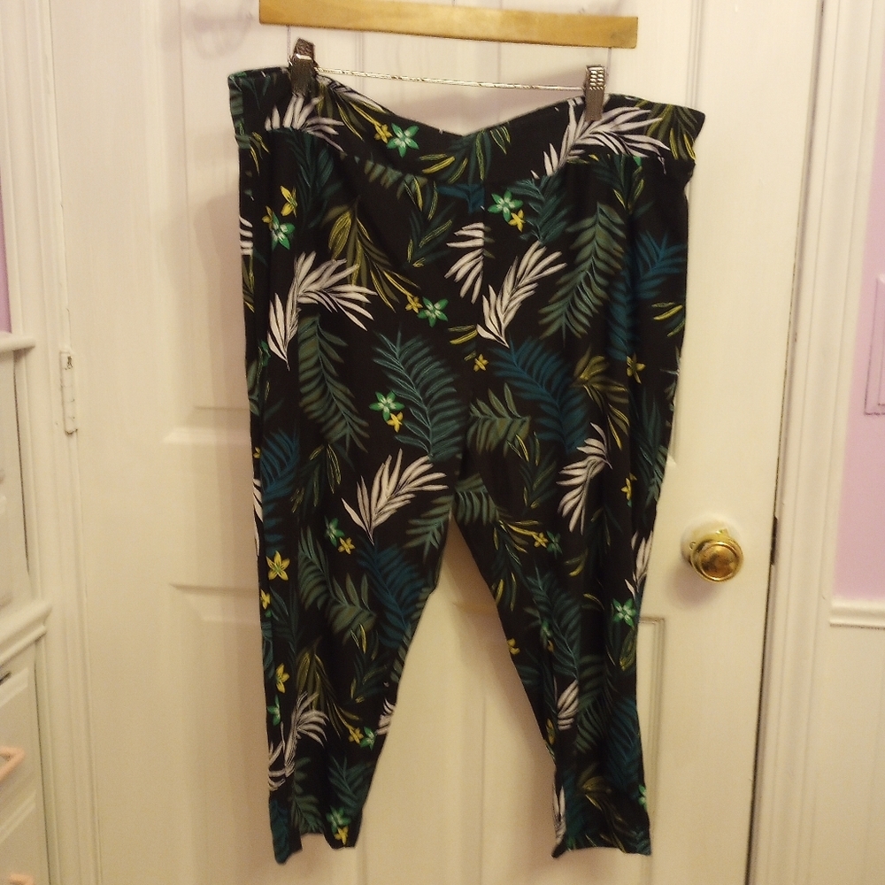 SKU 22W Terra & Sky Capri Athletic Pants.